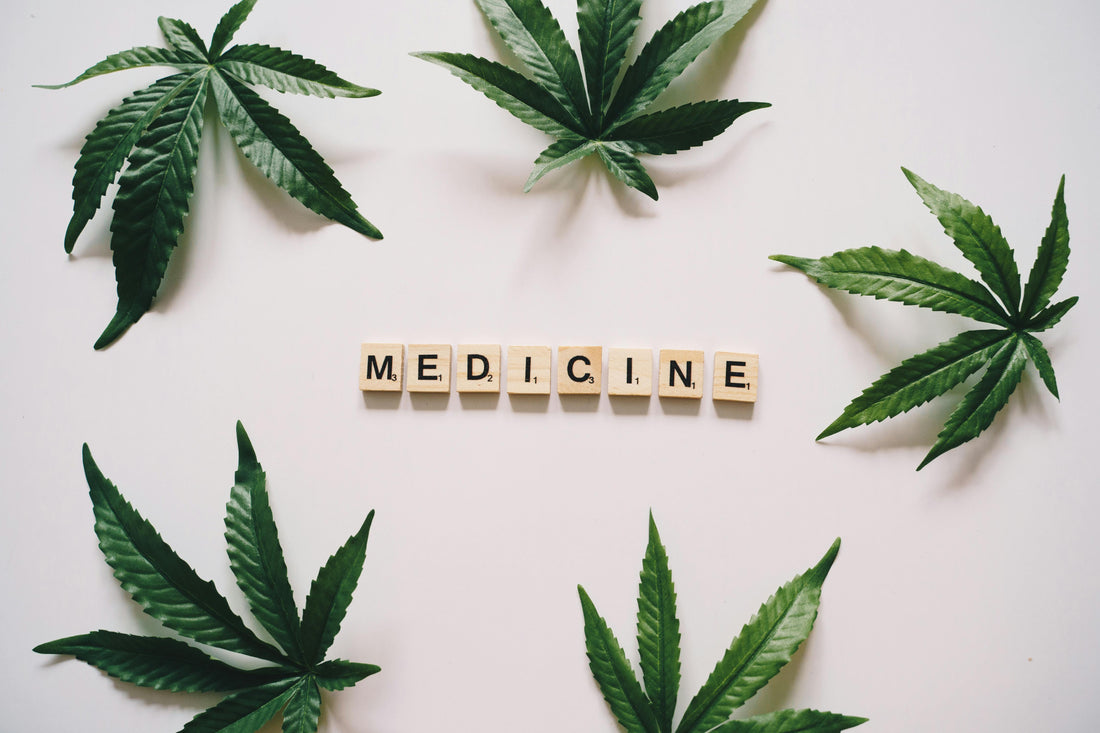 A Beginner’s Guide to CBD